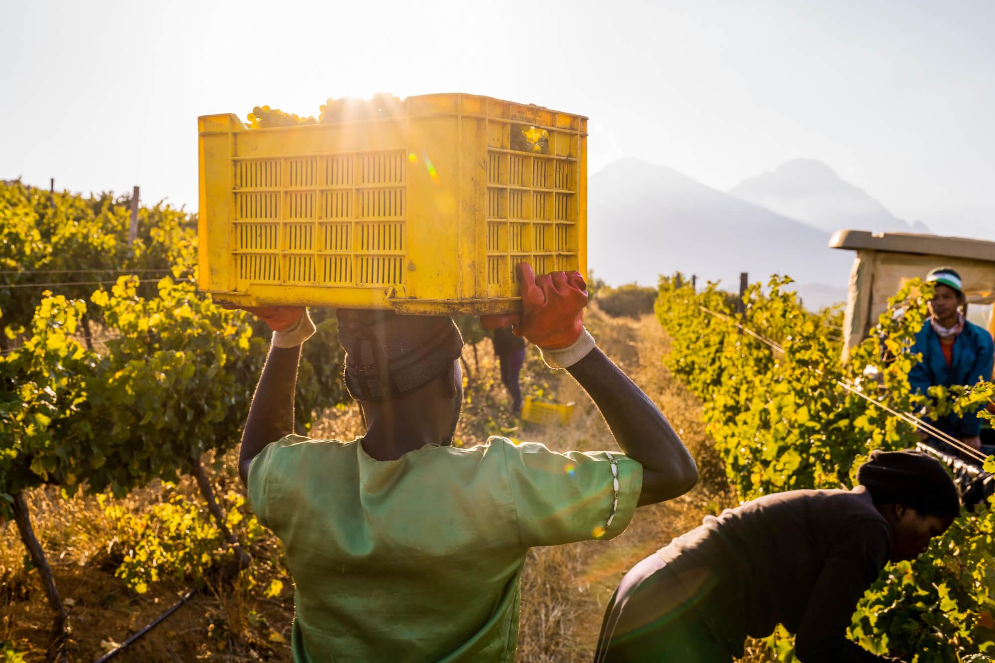 2023 Harvest Happenings