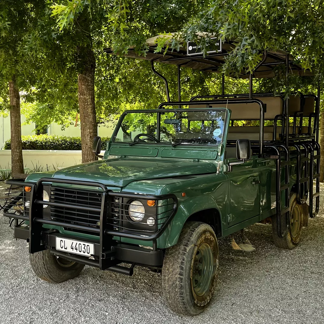 Vineyard Safari