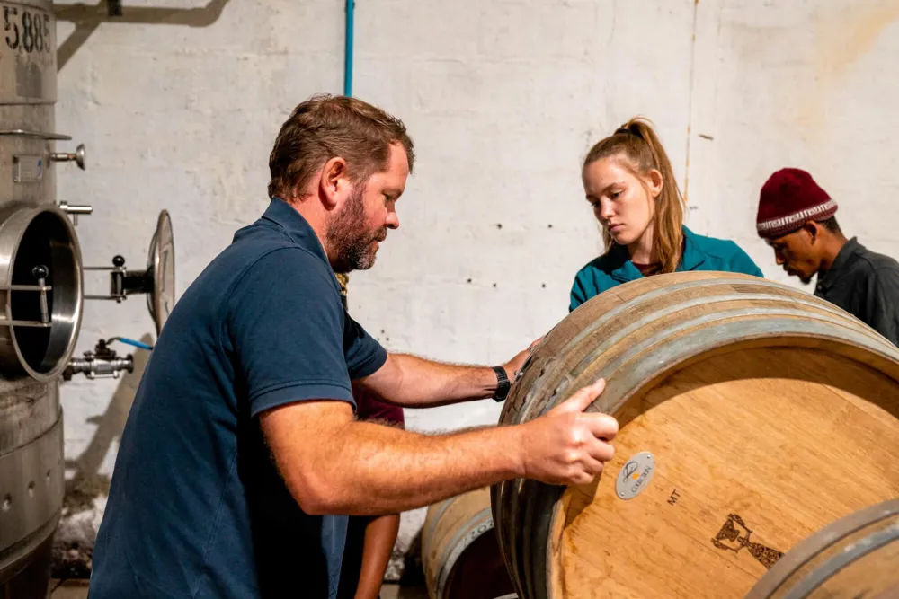 Warwick Estate Harvesting